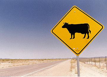 Xbox互动惊悚游戏新作《十二分钟》公布最新海报